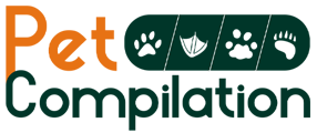 Pet Compilation